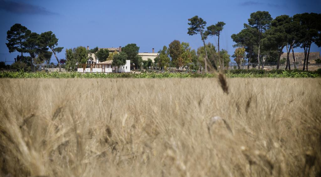 Residence Casale Verderame Trapani Kültér fotó